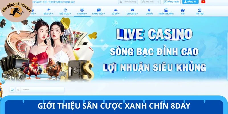 Giới thiệu sân cược xanh chín 8Day