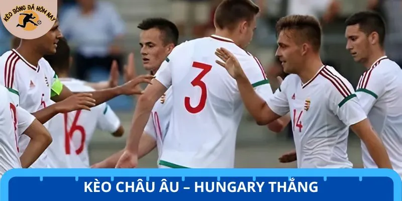 Kèo châu Âu Azerbaijan vs Hungary dự đoán đội khách chiếm thế chủ động