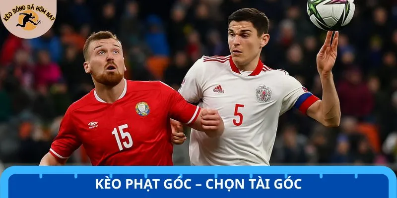 Kèo phạt góc trận Belarus vs Nga dự đoán xuất hiện nhiều pha góc