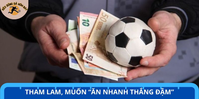 Không nên quá nóng vội