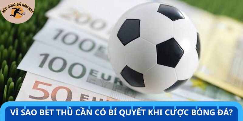 Cược bóng cần đến sự tính toán cẩn thận để đạt hiệu quả cao