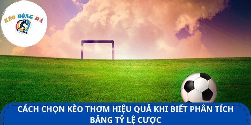 Cách chọn kèo thơm hiệu quả khi biết phân tích bảng tỷ lệ cược