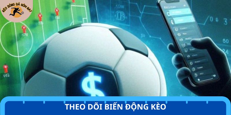 Theo dõi biến động tỷ lệ là cách soi kèo hiệu quả được khuyên dùng