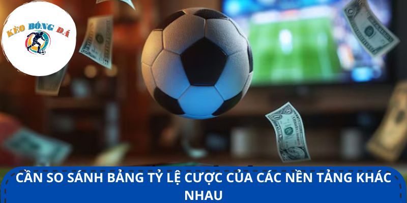 Cần so sánh bảng tỷ lệ cược của các nền tảng khác nhau