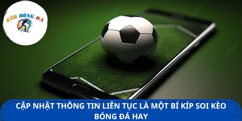 Cập nhật thông tin liên tục là một bí kíp soi kèo bóng đá hay