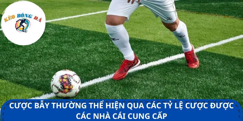 Cược bẫy thường thể hiện qua các tỷ lệ cược được các nhà cái cung cấp