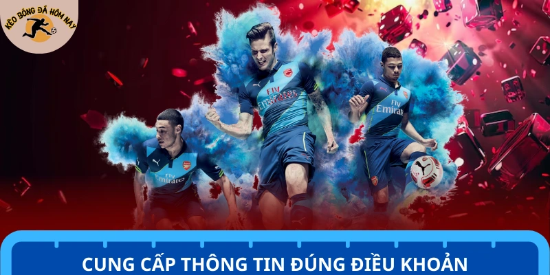 Cung cấp thông tin theo đúng điều khoản dịch vụ