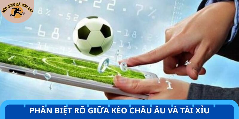 Nắm rõ cách đọc kèo bóng đá cho người mới để phân biệt từng loại