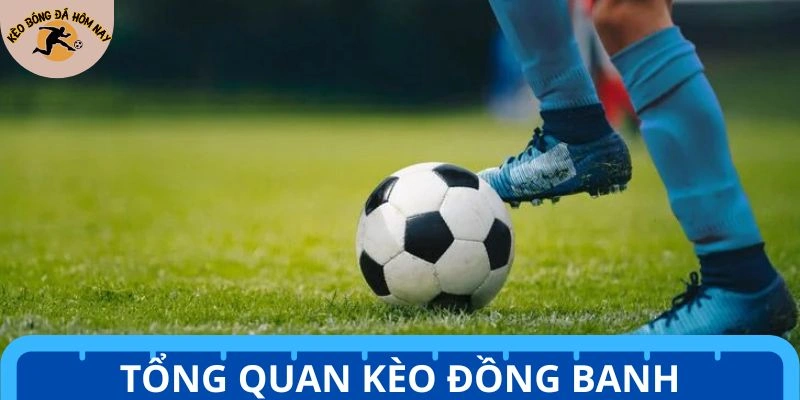 Khái quát về tỷ lệ đồng banh