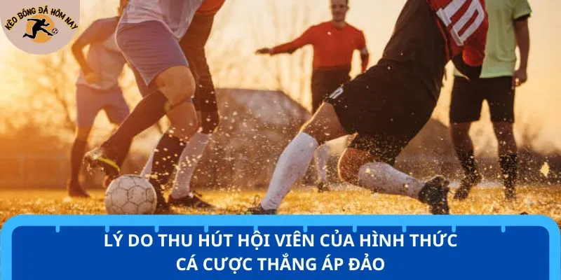 Lý do thu hút hội viên của hình thức cá cược thắng áp đảo
