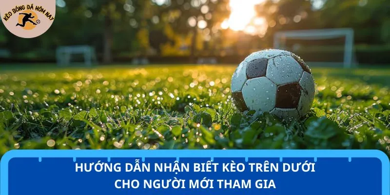 Hướng dẫn nhận biết kèo trên dưới cho người mới tham gia