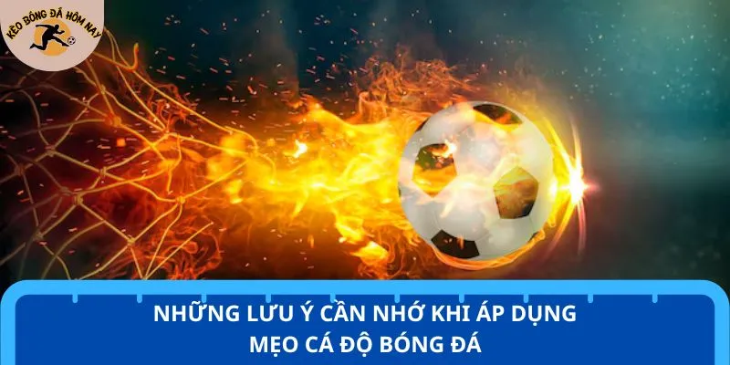 Những lưu ý cần nhớ khi áp dụng mẹo cá độ bóng đá