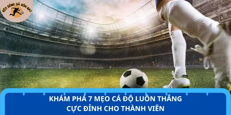 Khám phá 7 mẹo cá độ luôn thắng cực đỉnh cho thành viên