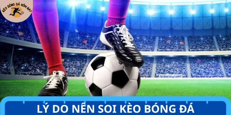 Lý do nên trải nghiệm soi kèo hình thức bóng đá