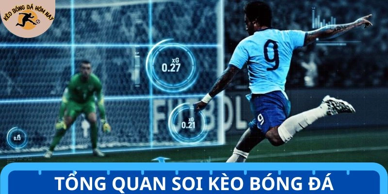 Khái quát về hình thức soi kèo trong bóng đá