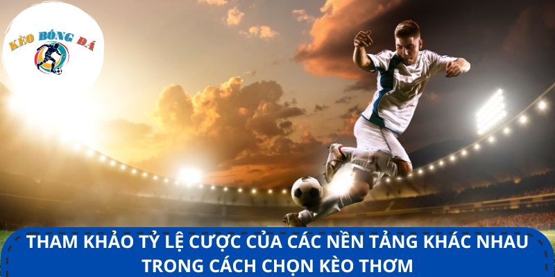 Tham khảo tỷ lệ cược của các nền tảng khác nhau trong cách chọn kèo thơm