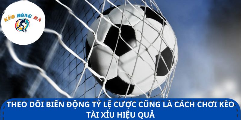 Theo dõi biến động tỷ lệ cược cũng là cách chơi kèo tài xỉu hiệu quả